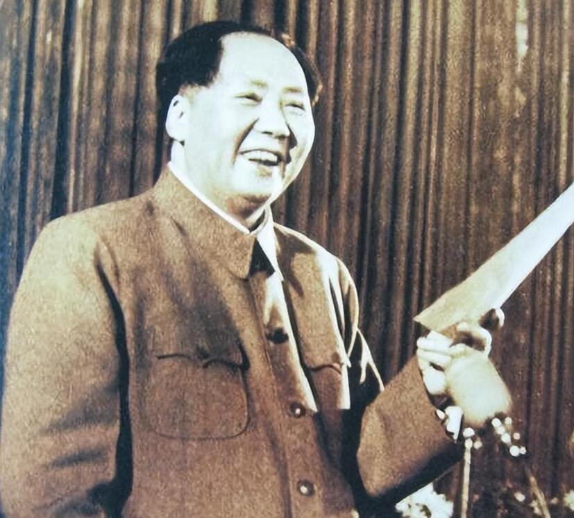 1959年选国家主席，刘少奇仅差一票全票通过，是谁没有给他投票？

1959年，