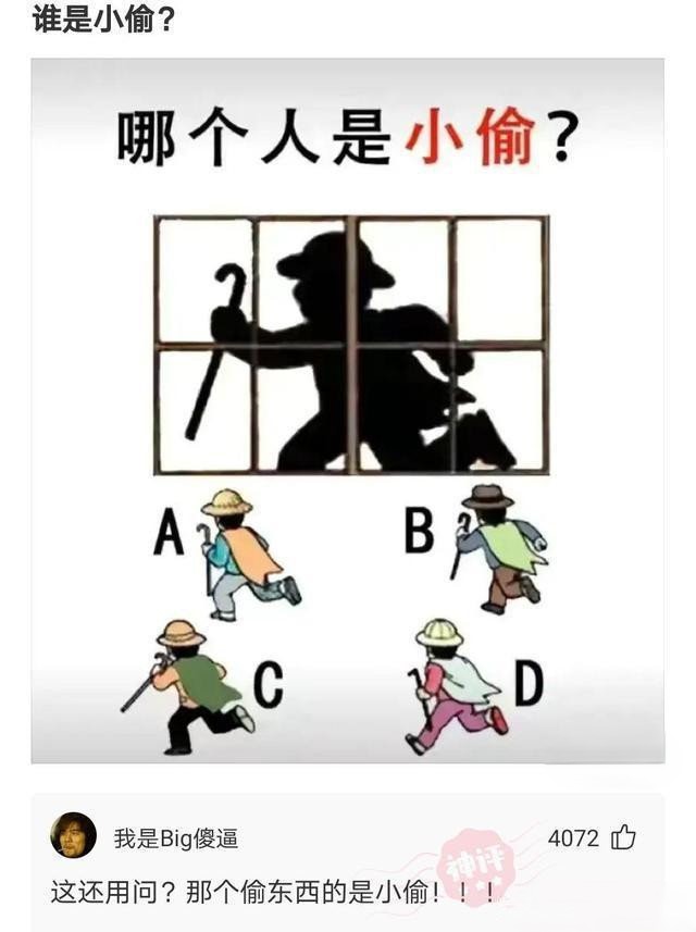 哪个人是小偷？
