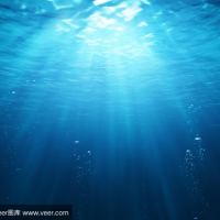 韦子淳