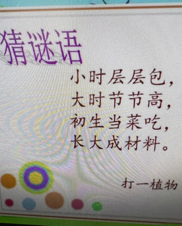 猜谜语
小时层层包
大时节节高
初生当菜吃
长大成材料