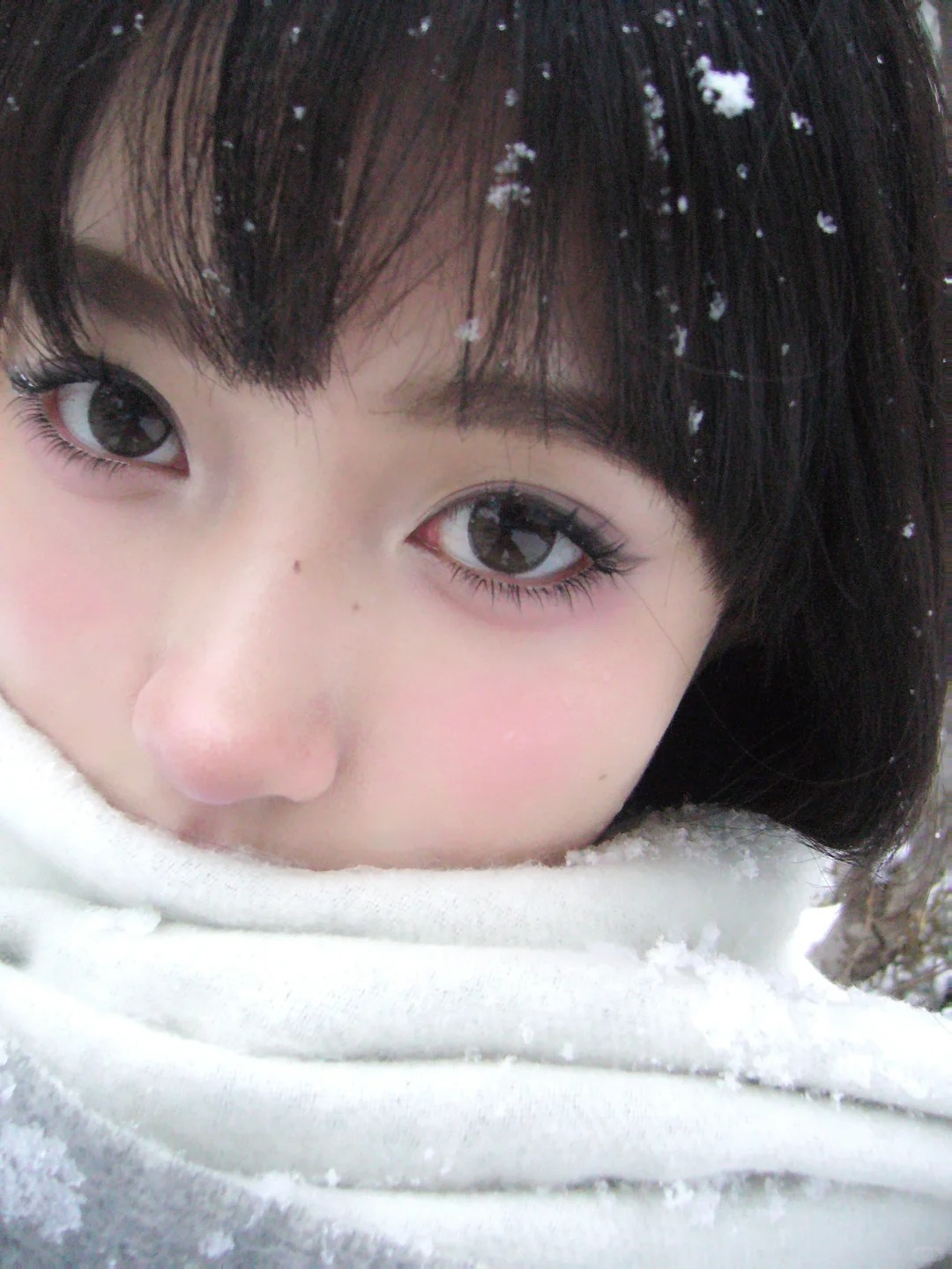 👀：aisei松子米酒
清透感眼珠和雪天的适配度满分՞ ̳o̴̶̷̤  ̫ o