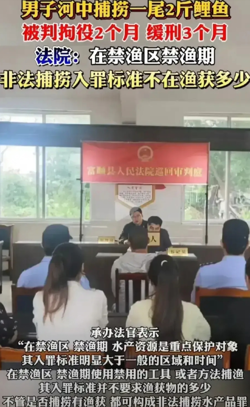 2024年我国共逮捕各类刑事罪犯75万人，提起公诉163万人，对于去年全年取得的