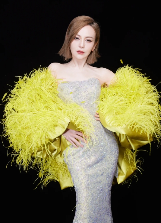 王琳的演艺生涯