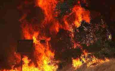 火海逃生：红木谷居民的生死时速