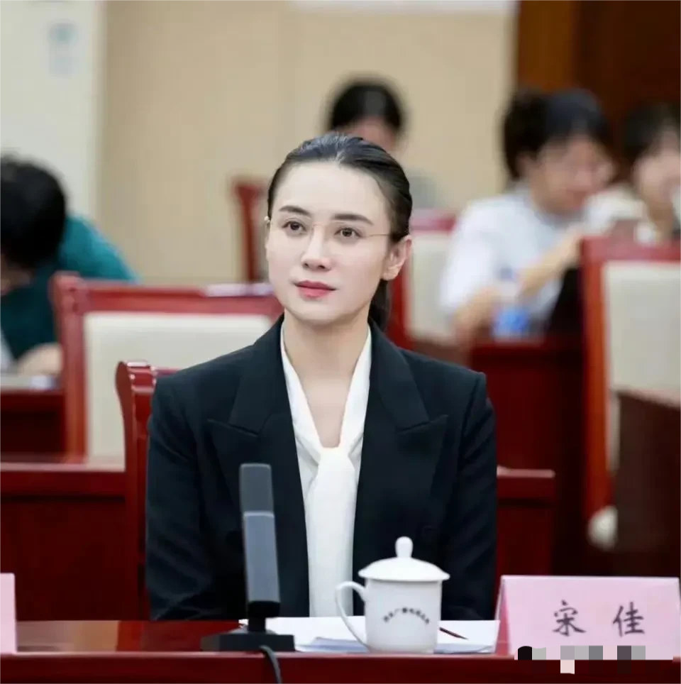 关晓彤的体制内打扮和宋佳一比，差距还是挺明显的