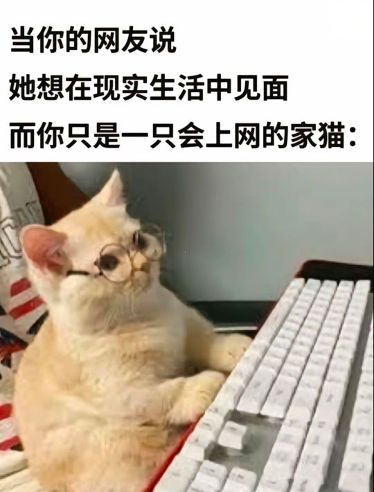 想和你见一面！