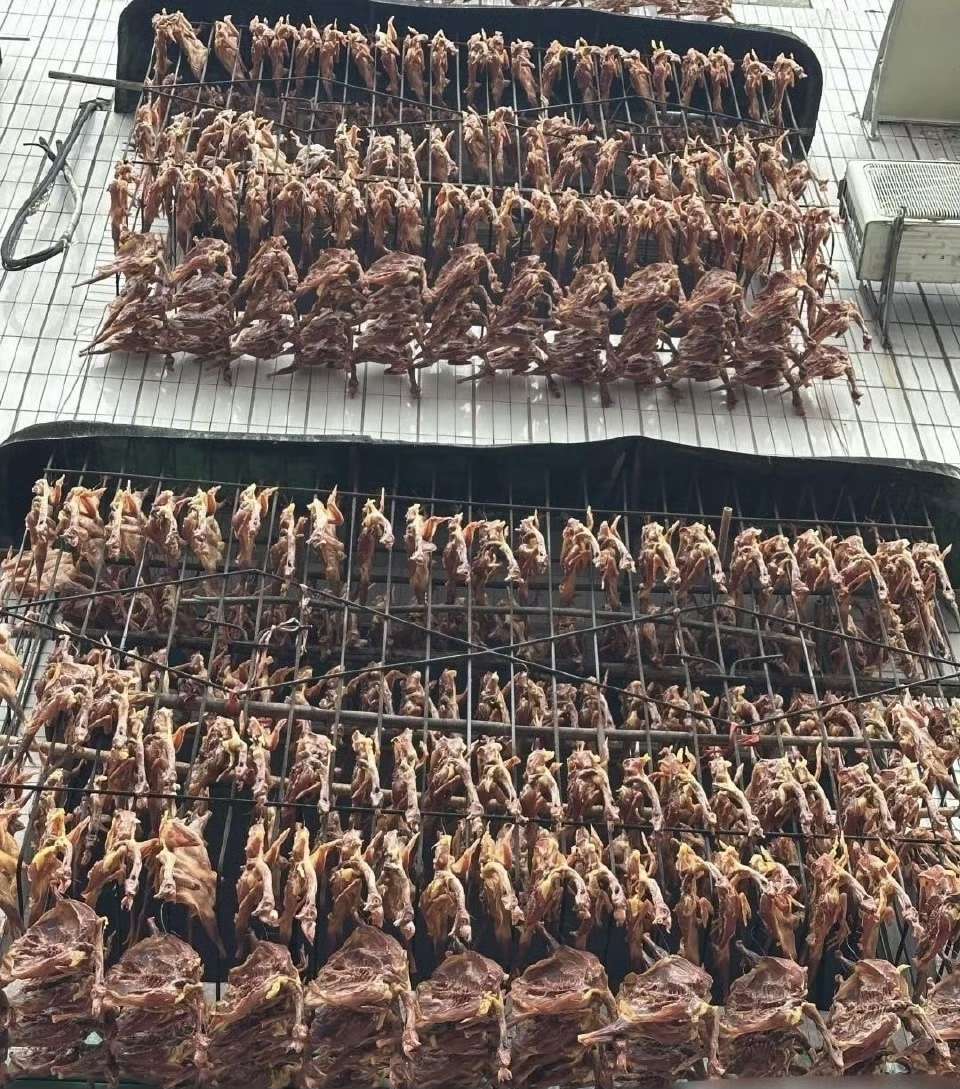 这规模真的吓到我了！