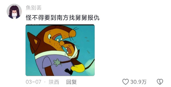 原来南北方老鼠差距这么大的吗 ​​​