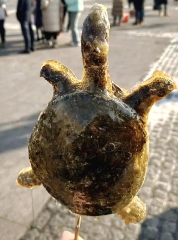 还真是万物皆可冰糖葫芦吖！还有谁有这奇葩?