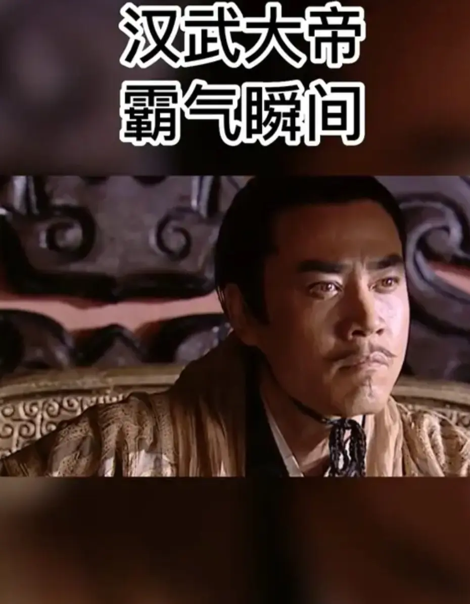 敢犯我大汉者，虽远必征！