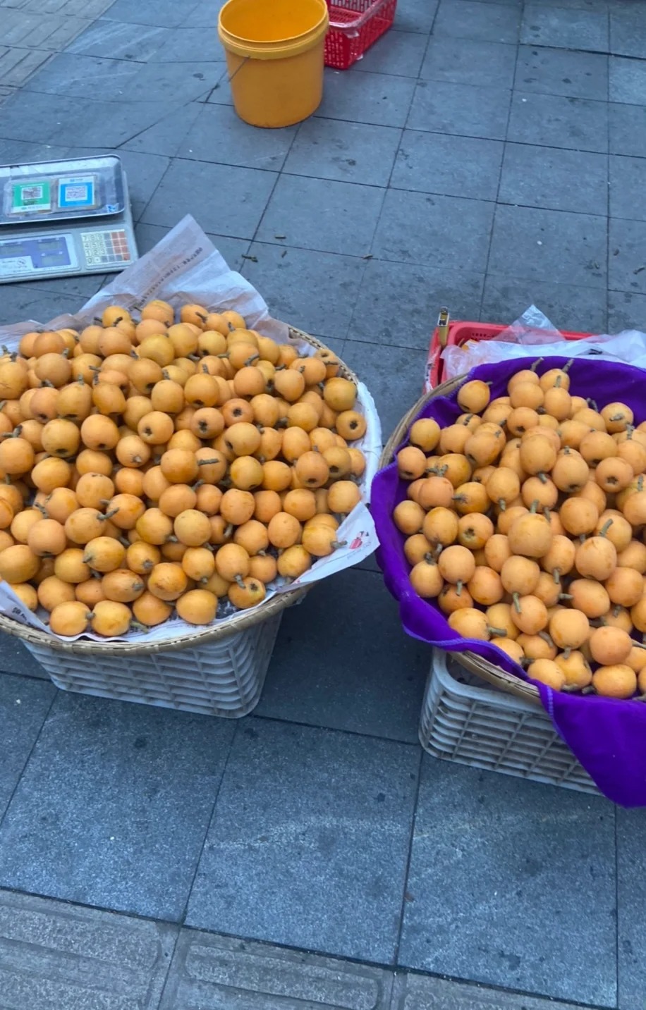 我以为我五块一斤的买的枇杷已经够便宜了 结果过了一条街居然卖十块钱三斤 我要呕死