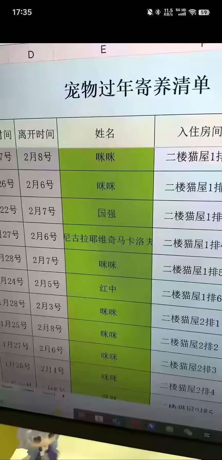 宠物过年寄养清单