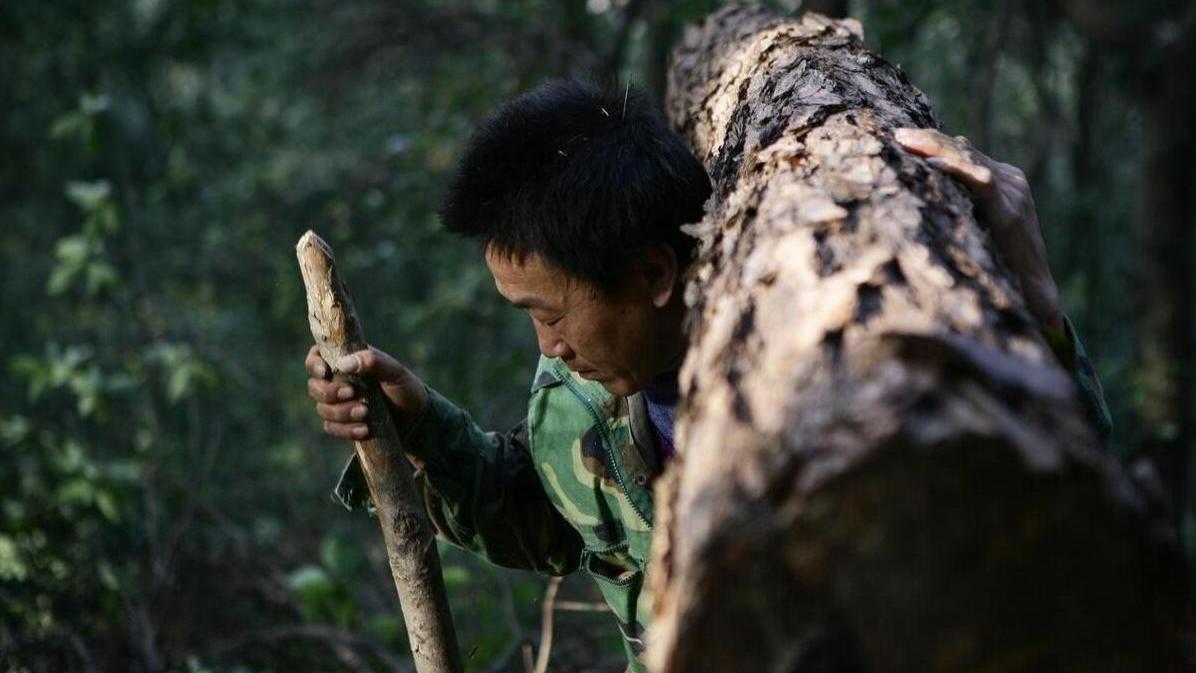 当年21岁的我偶遇姑娘换衣服，她扔了一头野菜，我用一个梳妆盒赢得她的心