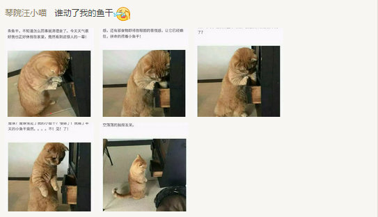 像极了小时候藏零食的你