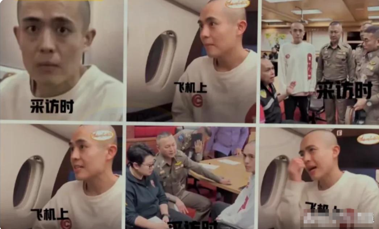 演员王星：坐飞机时和接受采访时，表现得差别很大！

演员王星在公共场合与私下里的