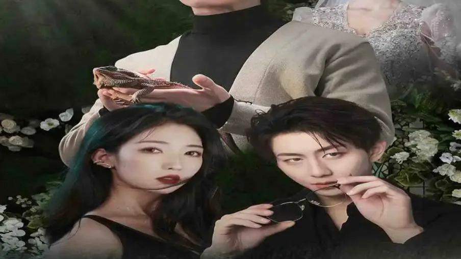 《错位人生&养大他人的儿子后我笑了》短剧全集免费在线观看完整版【1080p超清】