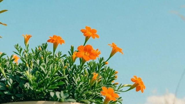 学会关上这3道门，人生赢家的关键秘诀