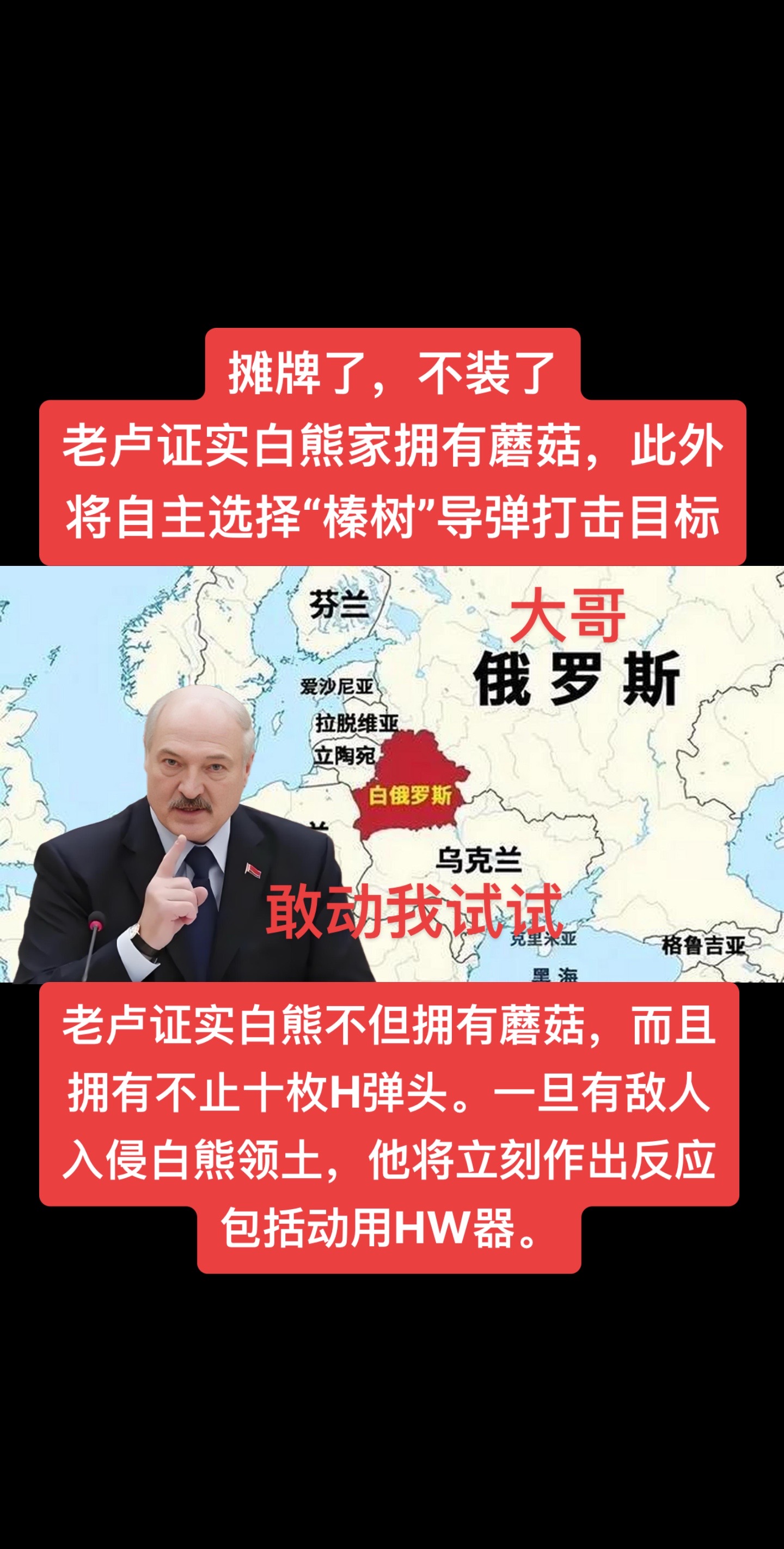 白熊目前有近30个可以部署“榛树”导弹的场地