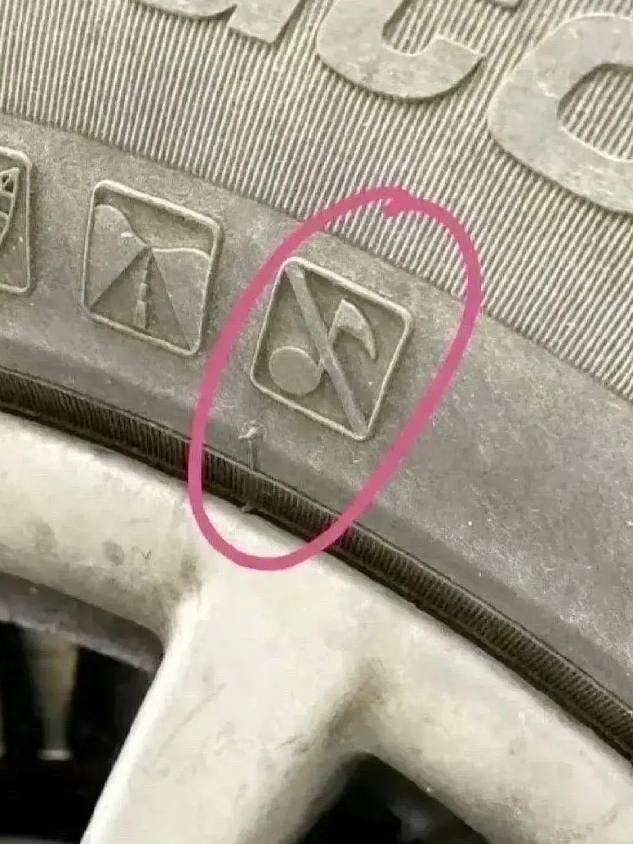 不懂就问，轮胎上这个标志什么意思
答：此轮胎不具备音乐播放功能

我真的会笑死