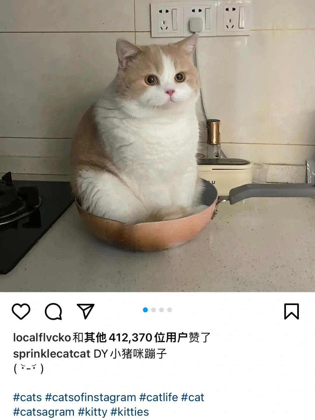 蹦子的锅里蹲照片居然在ins有40W赞！！！
这组居然在ins上🔥啦！！ 看来