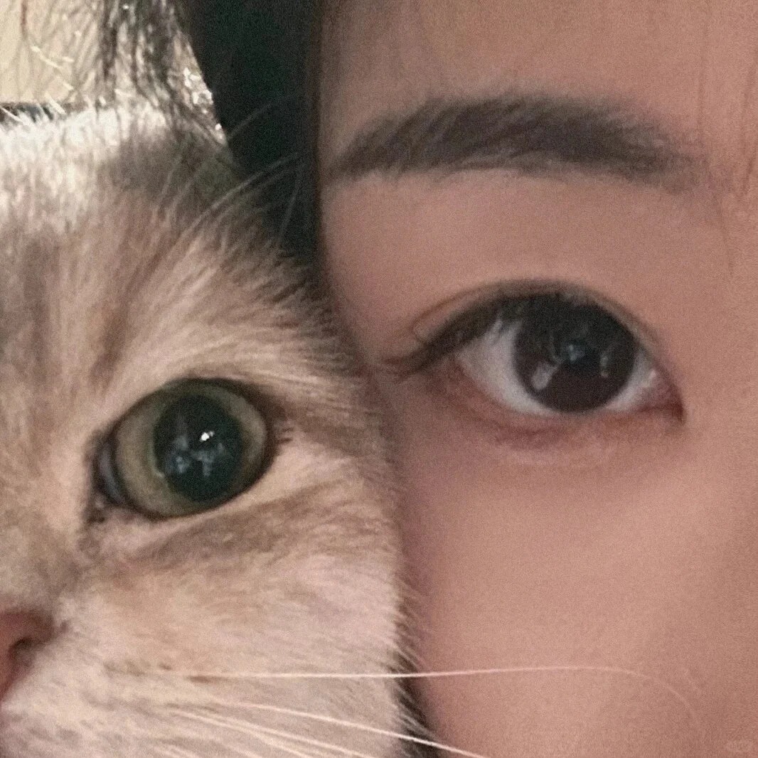 大家这种照片都怎么拍的啊
大家这种照片都怎么拍的啊
和猫猫的合影看起来也太棒了！