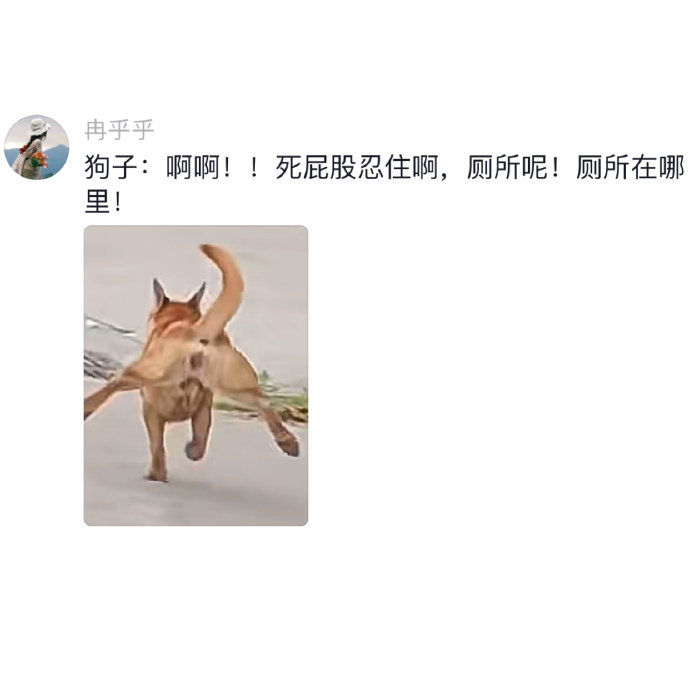 原来这就是传说中的拉胯