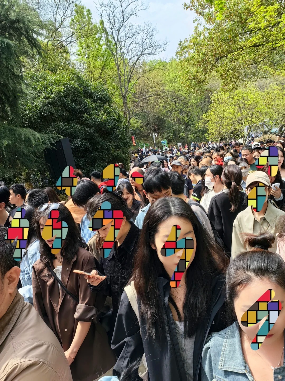 走了半个点 愣是没看见动物在哪
如果昨晚的夫子庙有一亿人
那那那那…那今天的红山