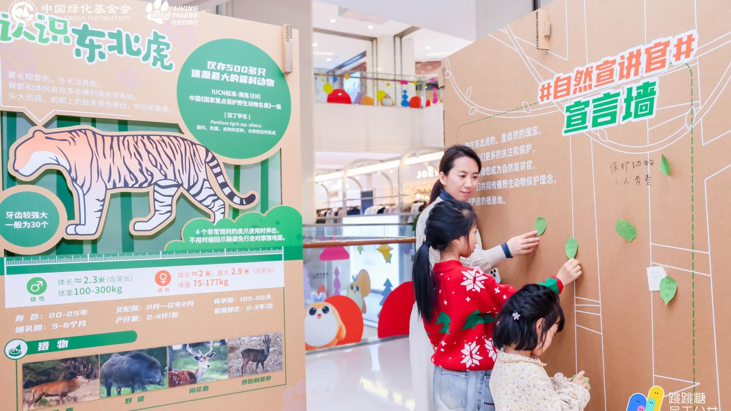 在春节邂逅虎豹保护科普展，见证城市与远方的爱与力量