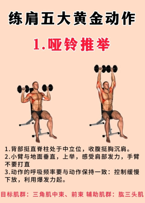 练肩的黄金动作，教你如何打造虎头肩？