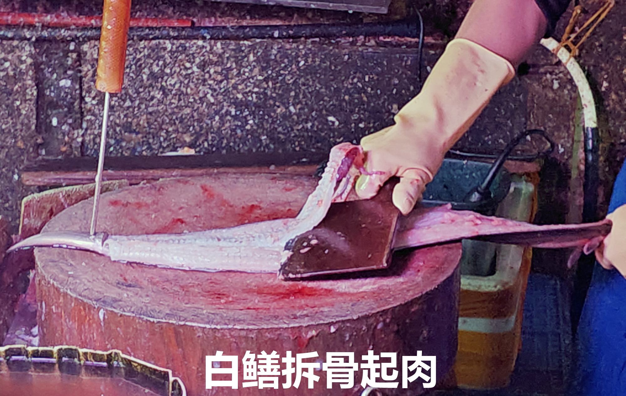 白鳝（日本鳗鲡）拆骨起肉，是我很欣赏的做法，吃起来不用吐骨刺，啖啖肉，可以煎、炒