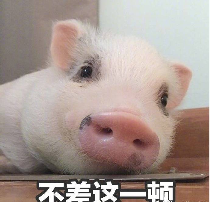 不差这一顿