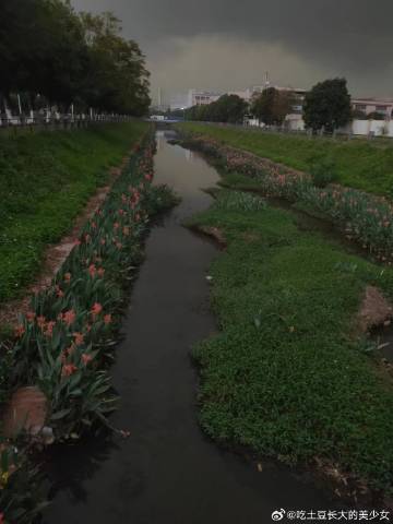 #广州暴雨#早上10点的天气~