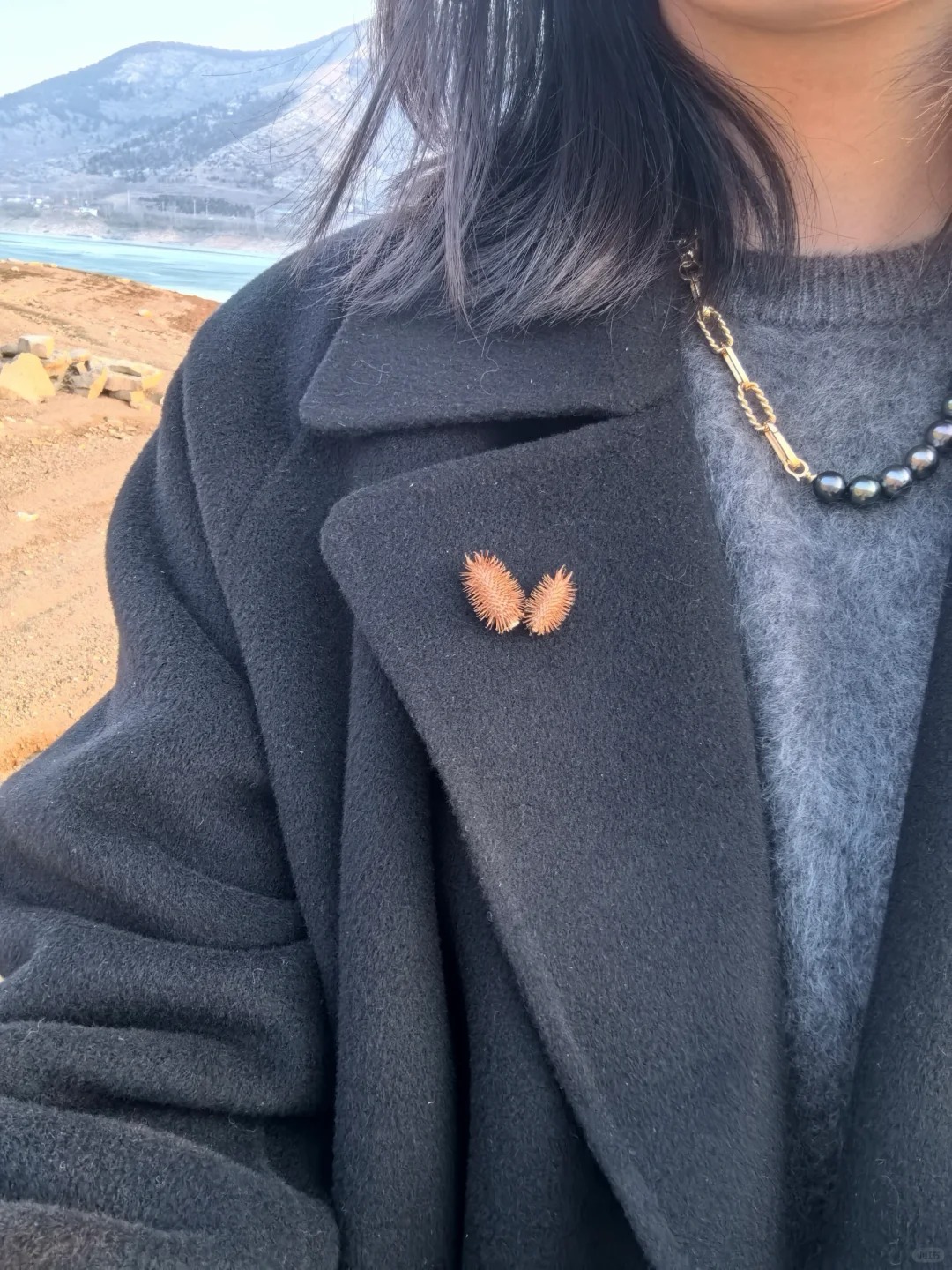 大家看，新入的胸针怎么样？
自然风物系列，设计款胸针
生活中的创意总在不经意间