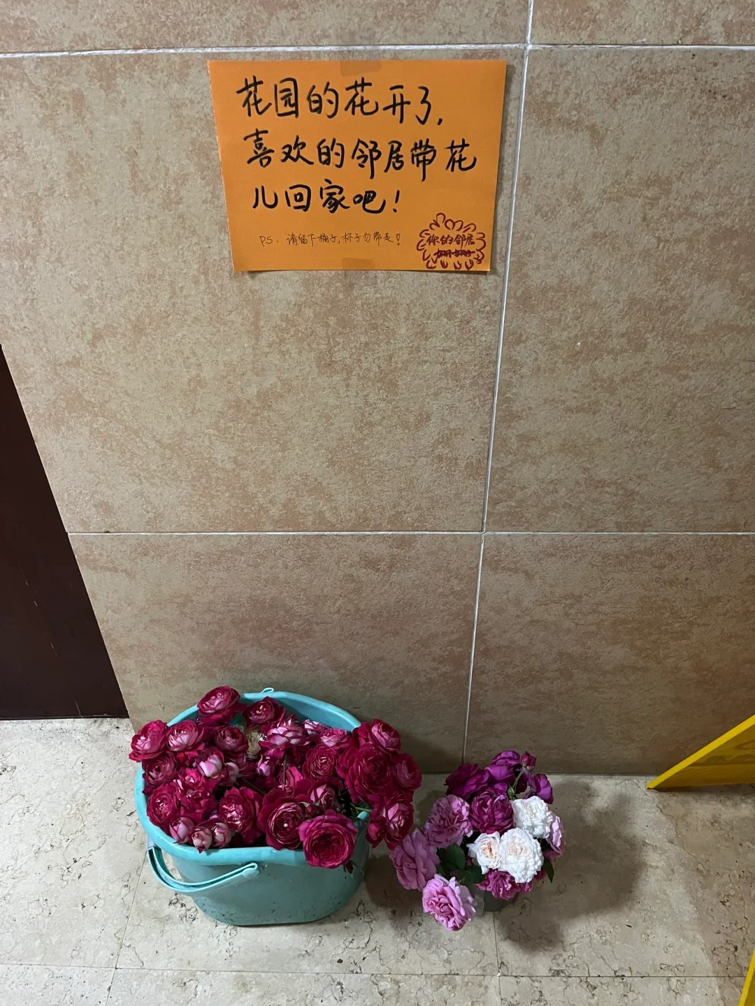 神仙邻居！
晚上下班回到家进电梯前看到花的这一刻，感觉真的横扫了一天的疲惫！春天