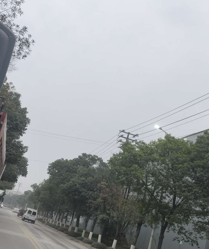 大白天的还亮着，电费谁出啊？