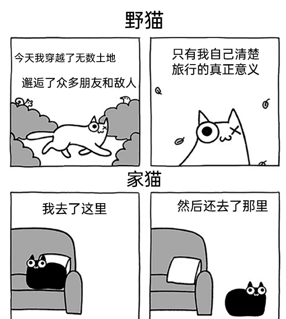 邂逅了众多朋友和敌人