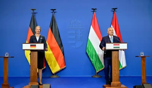 爱丽丝·魏德尔今天访问布达佩斯，记者会由维克多·欧尔班主持，身后是德国国旗。魏德