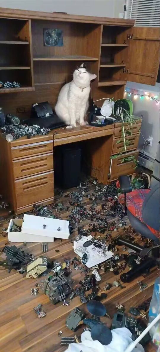 我看是欠打