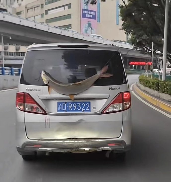 高调的炫耀往往采用最朴素的表达方式