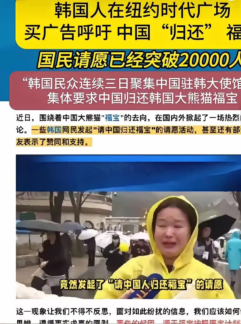 韩国人真的是很下头，要点脸吗