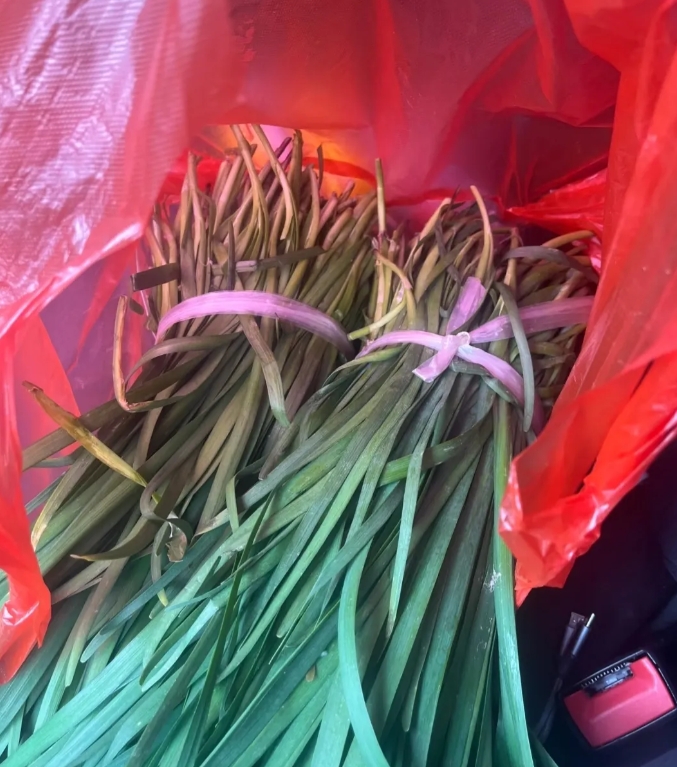 现在过年时的物价没人管了吗？今天买了两捆韭菜，因为在我们北方腊月二十九中午和年三
