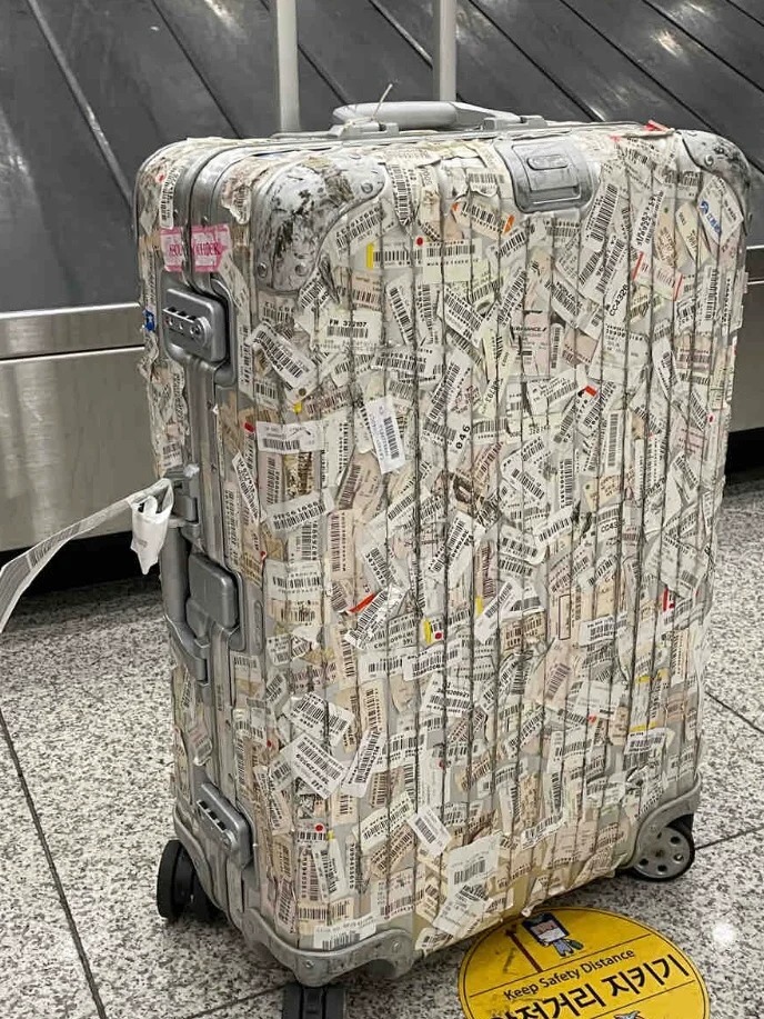 原来看过世界的行李箱长这样？
还有木有一种可能是个出差🐶