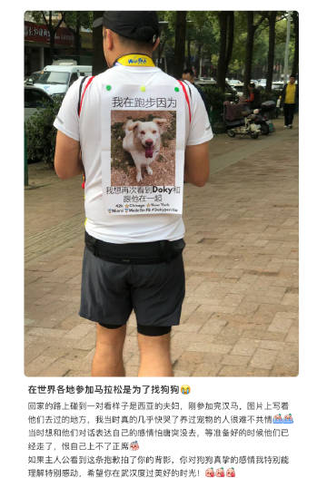 在世界各地参加马拉松只是为了找小狗