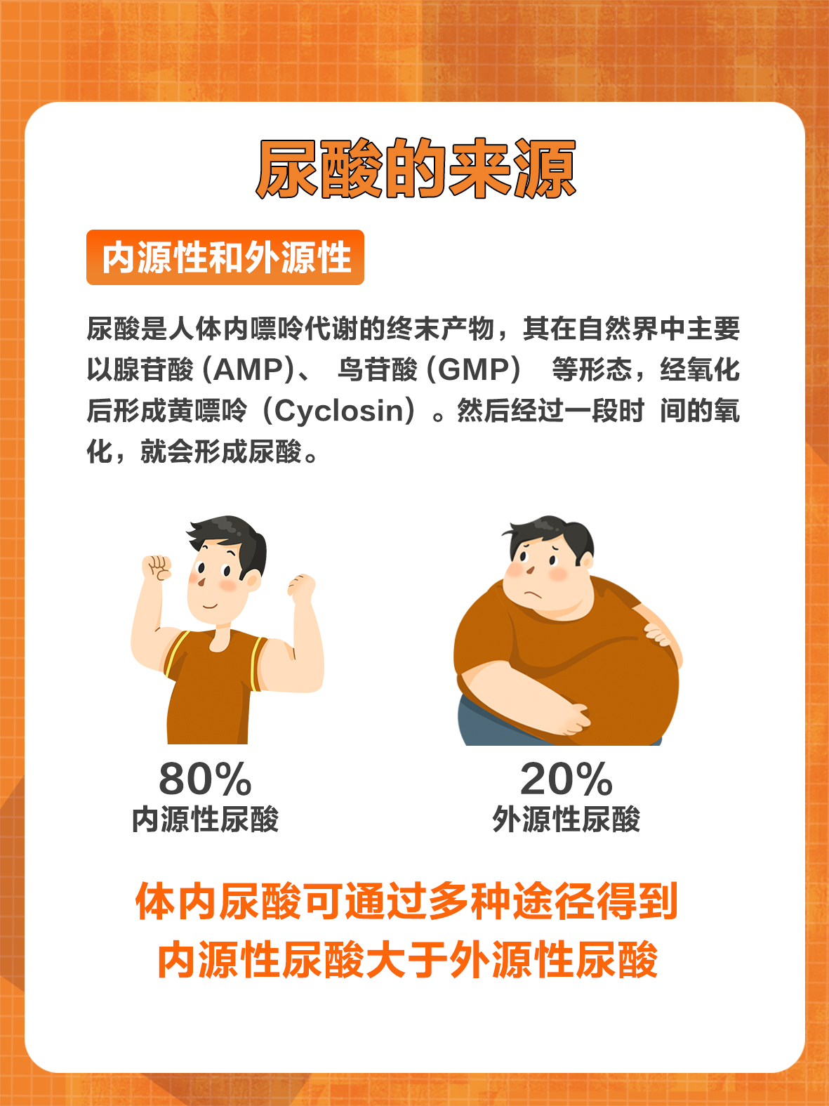 尿酸是如何产生的?
