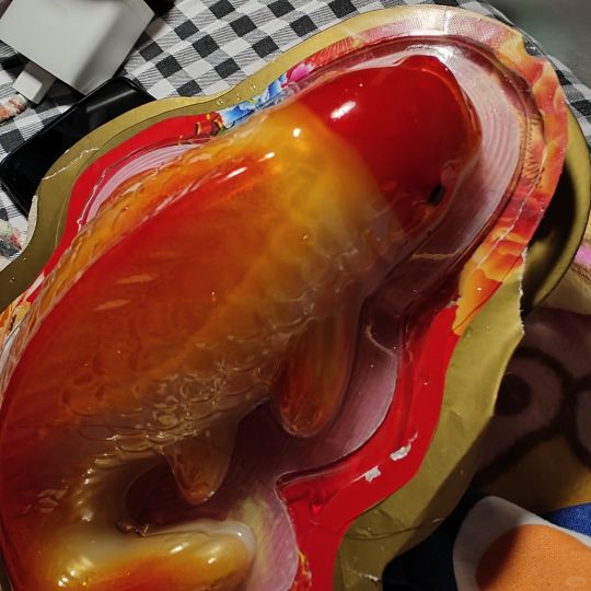 你被骗过吗