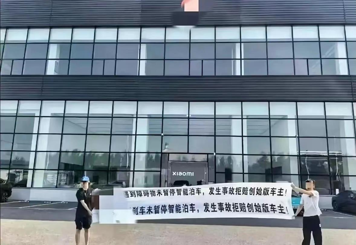 问界车主又来维权了，说什么遇到障碍物未暂停智能泊车，踩刹车未能暂停智能泊车，年轻