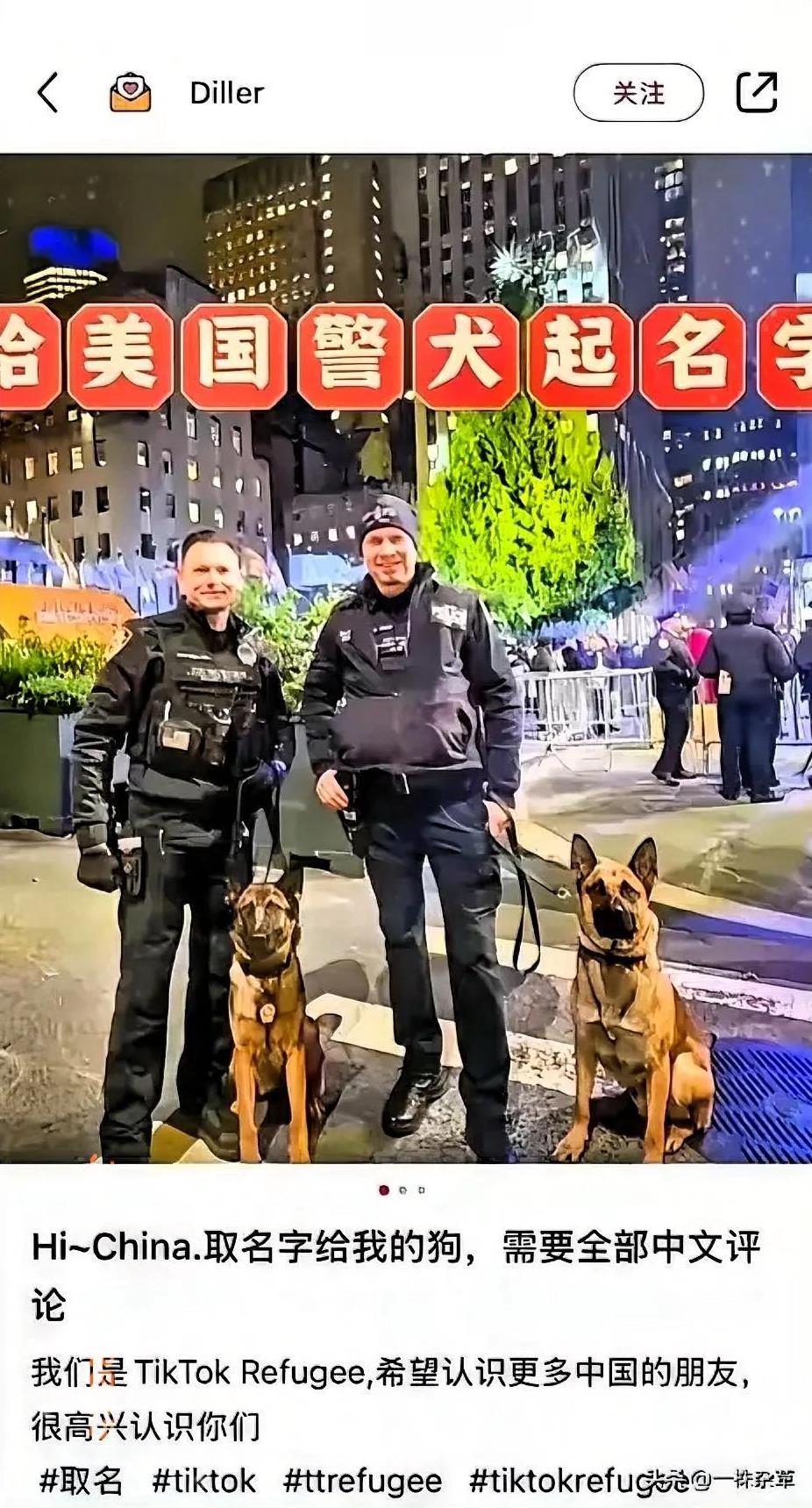 跨越国界的爱与敬意
惊！一位美国警察在小红书上为警犬取名求助，竟引出一段感人至深