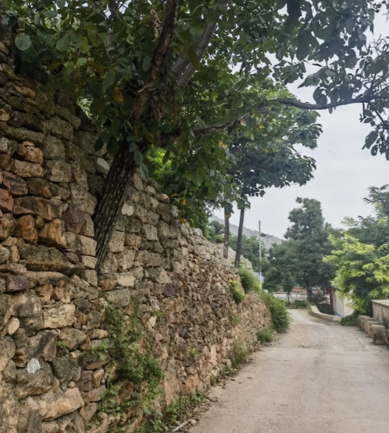 我服我妈了，你家有这样的老人吗？
周末，想着带她去民宿住两天，过过饭来张口的日子