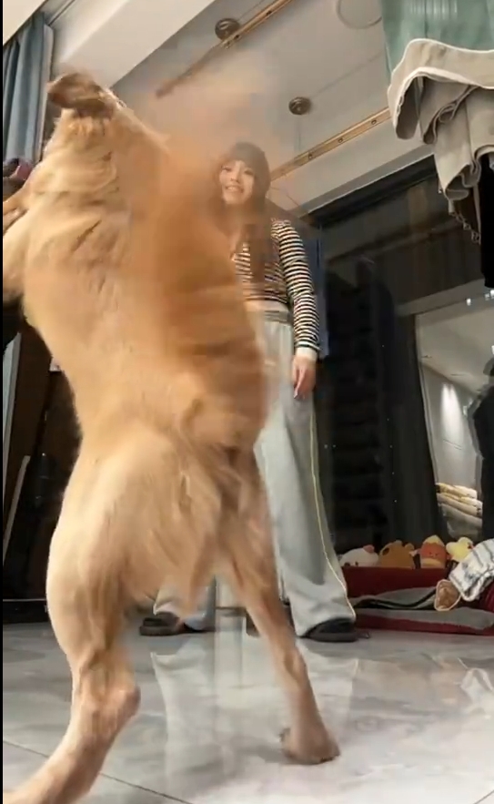 这也太搞笑了