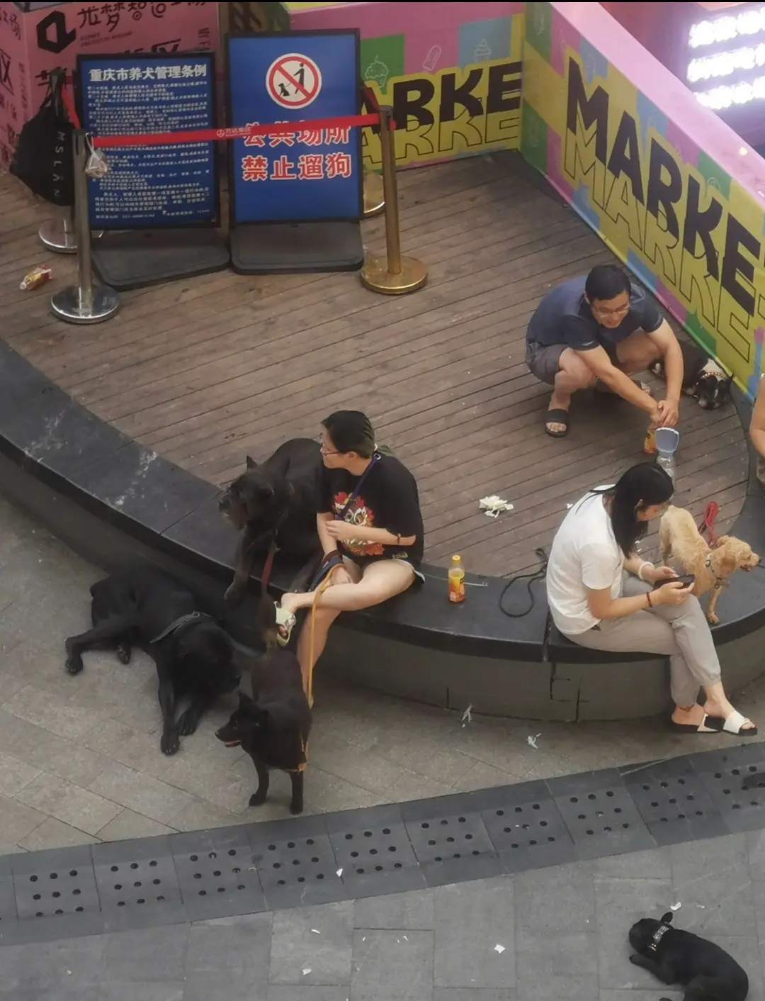 在禁止遛狗的标牌下，国人的素质立马体现出来了
这遛狗遛的如此这般丝滑，如入无人之
